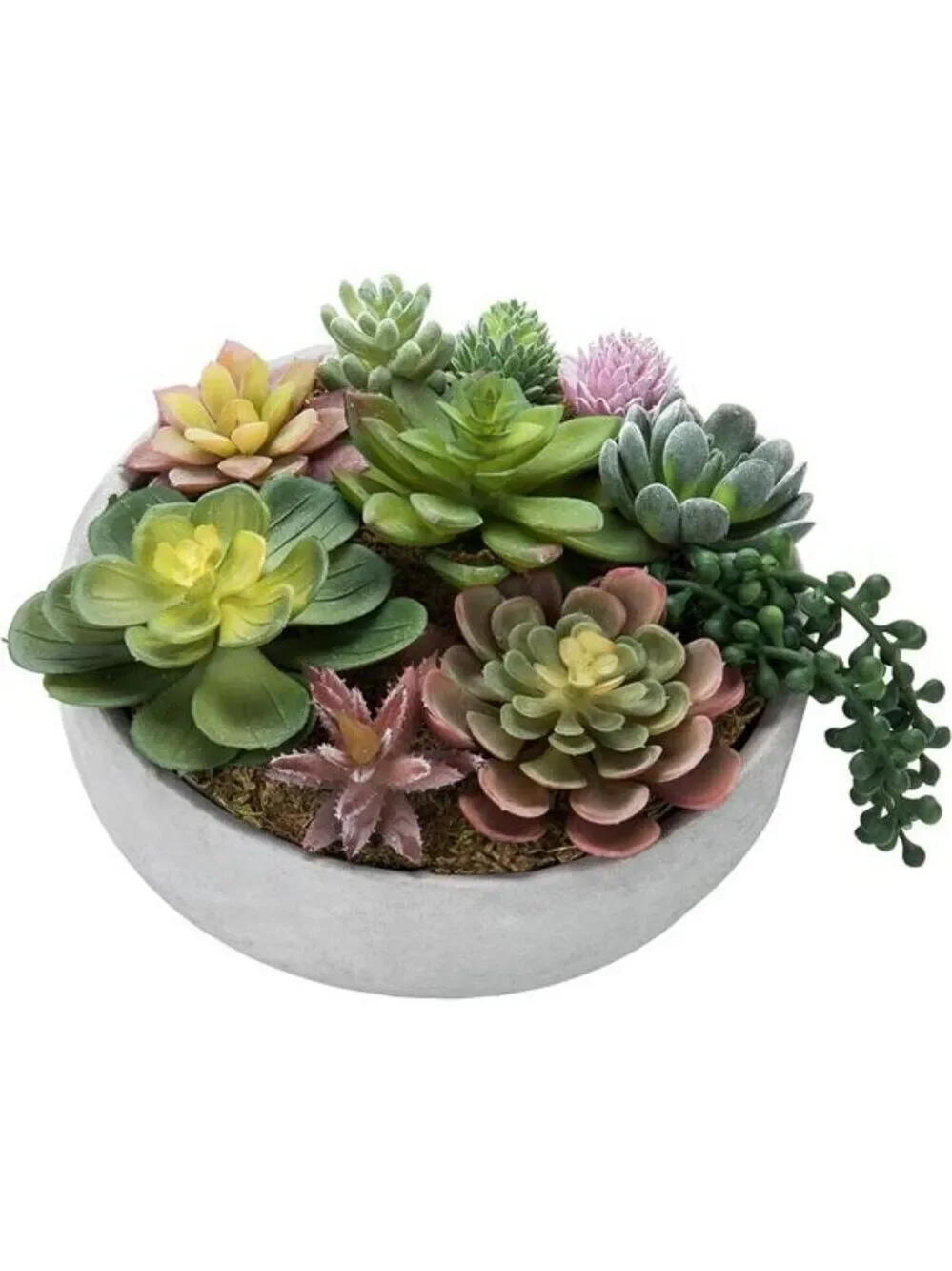 Artificial Succulent Arrangement Faux Plants in Gray Concrete Decorative Planter